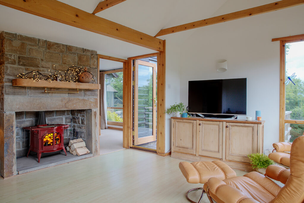 Wood burning stove in a living room, used for home heating and seasonal maintenance